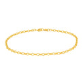 9ct Yellow Gold 25 cm Oval Belcher Anklet