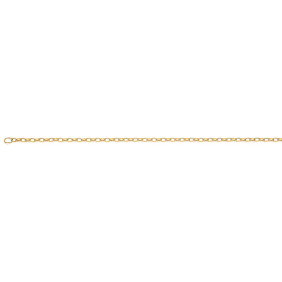 9ct Yellow Gold 19cm Oval Belcher Bracelet