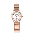 Eclipse Mother of Pearl Rose Dial Gold Tone Expander Band  Watch