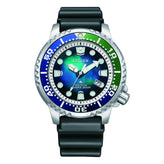 Citizen Promaster Eco-Drive Diver 200M Watch BN0166-01L