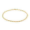 9ct Yellow Gold 25cm Figaro Anklet