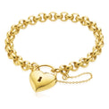9ct Yellow Gold & Silver-filled 20cm Round Belcher Heart Padlock