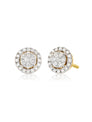 London 9ct Yellow Gold Round Brilliant Cut with 0.30 CARAT tw of Diamonds Stud Earrings