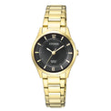 Citizen Women's Classic Gold Watch ER0203-85E