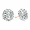 9ct Two Tone Gold Round Brilliant Cut 0.15 CARAT tw of Diamonds Stud Earrings