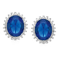 Sterling Silver Blue and White Cubic Zirconia Stud Earrings